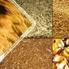 пшеница,Кукуруза,Гречиха,Горох, Ячм и др в Орле