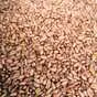 семена яровой пшеницы сорта гранни в Орле и Орловской области 2